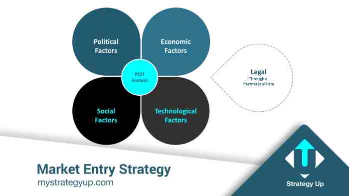 Market Entry Strategies