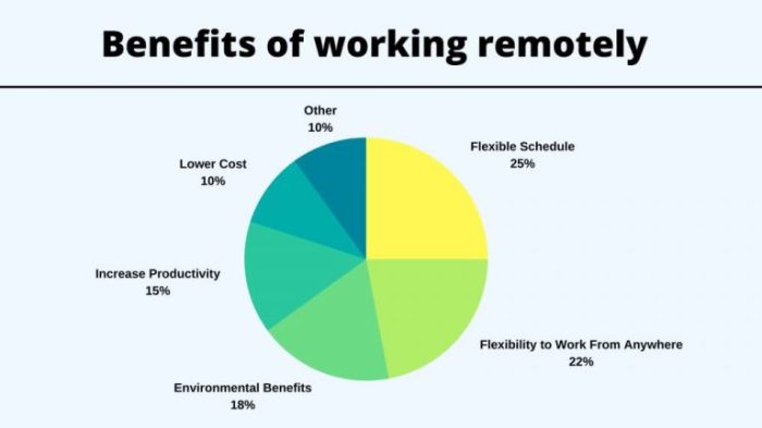 Remote Work Productivity